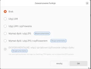 disk partitioning options