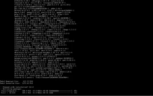 installation of arch linux started