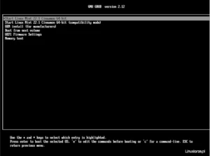 boot linux mint